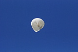 090710.balloon.41.jpg