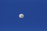 090710.balloon.47.jpg