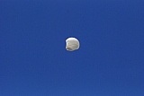 090710.balloon.48.jpg